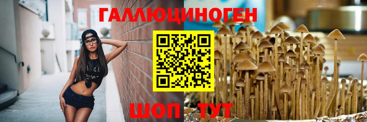 Галлюциногенные грибы MAGIC MUSHROOMS  Вход с VPN  Норильск 